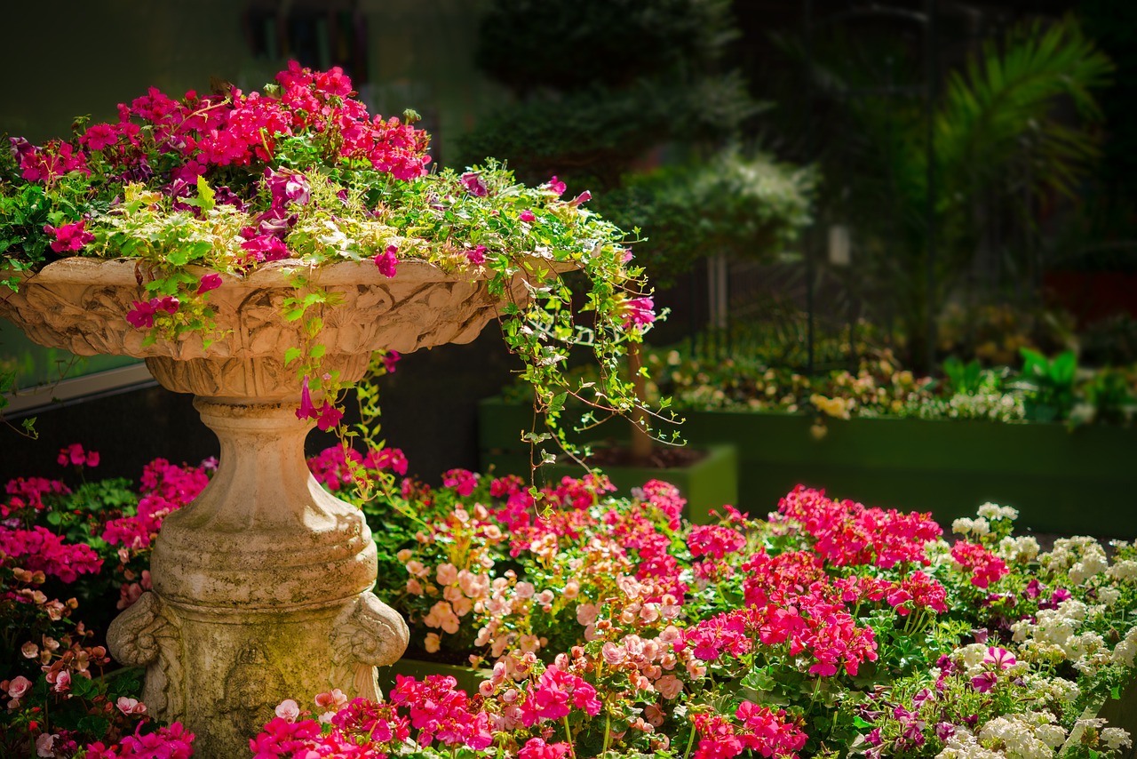 garden-670516_1280 garden-670516_1280